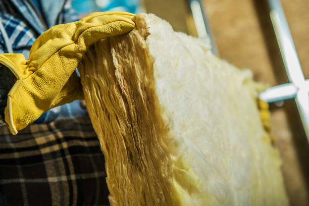 Best Residential Insulation in Fort Valley, AZ